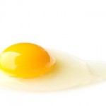 卵のサイズの違いは白身の量って本当？そんなことはない！