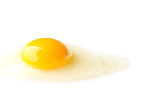 卵のサイズの違いは白身の量って本当？そんなことはない！